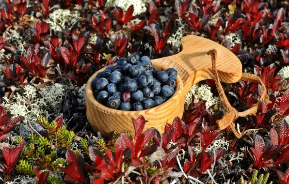 Berries, blueberries, scoop