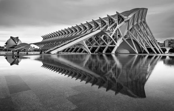 The building, black and white, architecture, Spain, Valencia