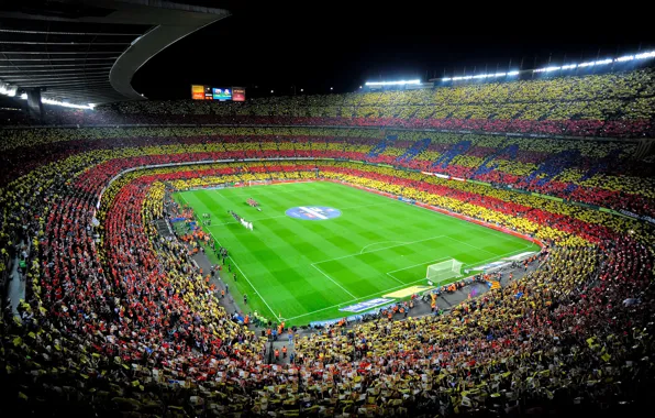 Sport, Football, Spain, Leopard, Stadium, Stadium, Spain, Real Madrid