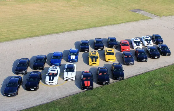 Picture camaro, chevrolet, emblem, a lot of cars, 24 pieces
