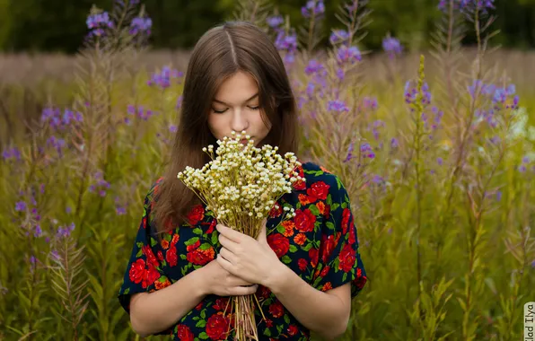 Field, girl, flowers, photographer, girl, photography, photographer, Ilya Klad