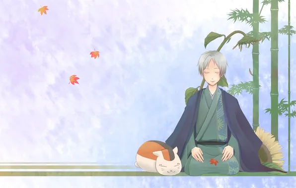 Cat, leaves, figure, sunflower, bamboo, guy, madara, natsume yuujinchou