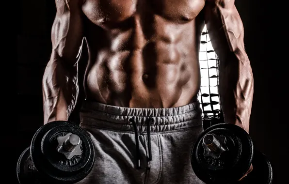 Torso, muscle, muscle, man, press, pose, dumbbells, gym