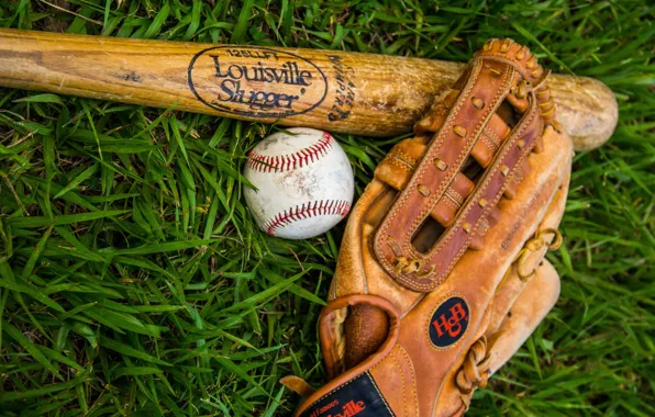 Picture photo, Grass, The ball, Sport, Gloves, Baseball bat