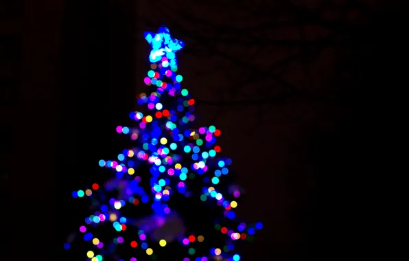 Lights, background, holiday, herringbone