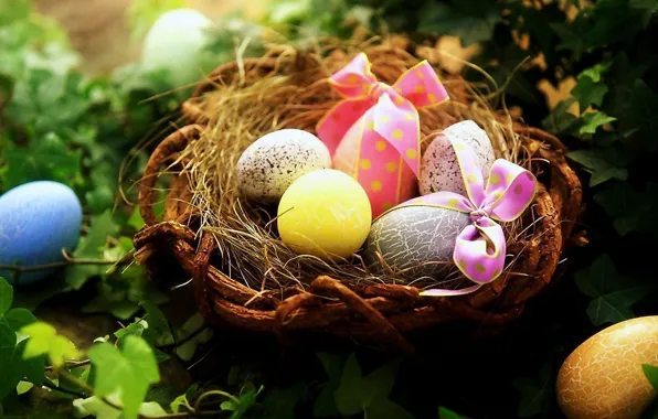 Macro, eggs, plants, Easter, socket, bows, painted eggs