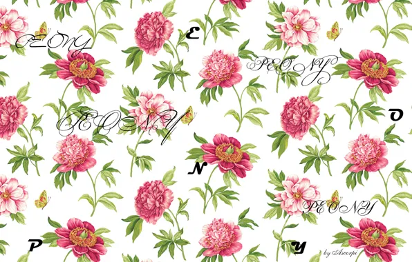 Flowers, nature, letters, labels, peony, peony