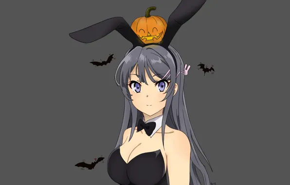 Girl, rabbit, pumpkin, bats, Halloween, rabbit ears, Seishun Yarou wa bunny girl Senpai no Yu …
