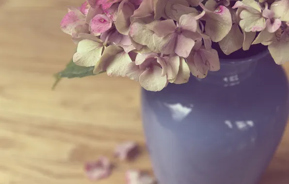 Picture flowers, petals, vase