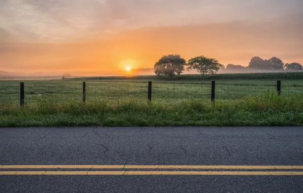 Road, field, sunset, fog