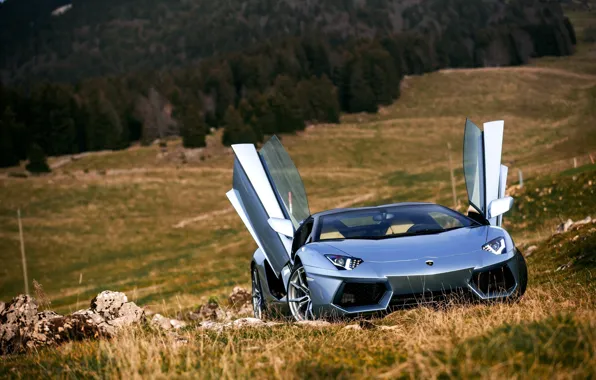 Picture Roadster, Lamborghini, Nature, Front, LP700-4, Aventador, Supercars, Silver