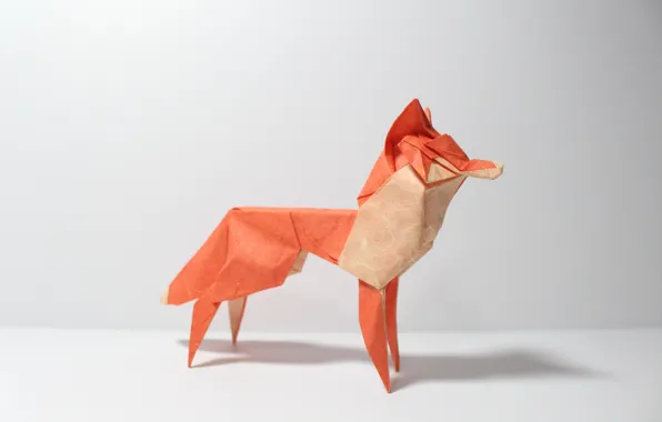 Paper, Fox, origami
