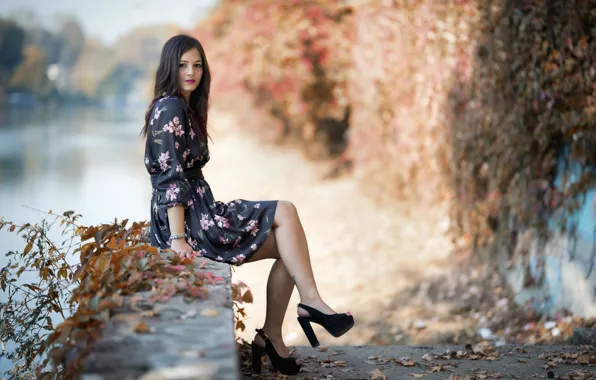 Look, background, dress, sitting, cutie, Sara