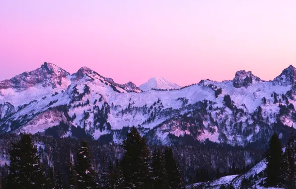 Winter, forest, the sky, snow, mountains, nature, coniferous trees