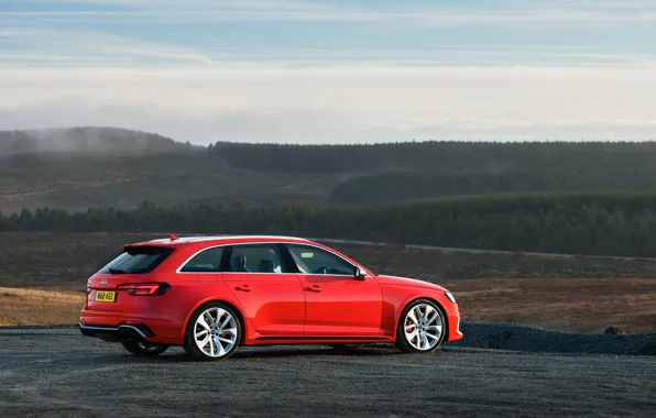Audi, rear view, 2018, universal, RS4, Before