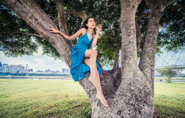 Picture tree, dress, Asian