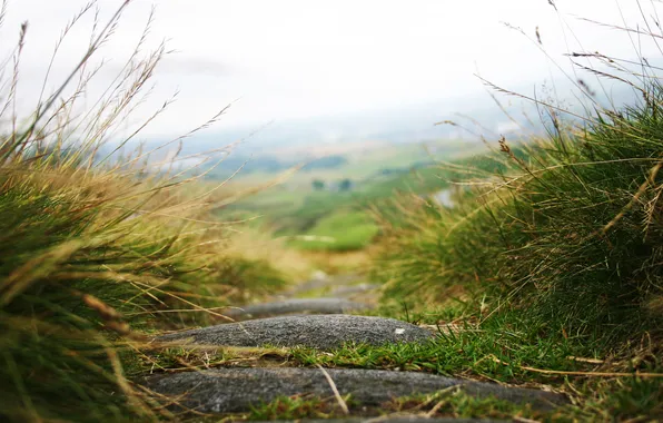 Picture road, grass, macro, nature, the way, stones, Wallpaper, stone