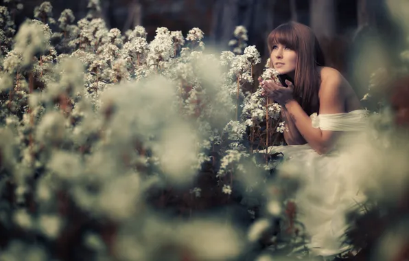 Girl, flowers, mood