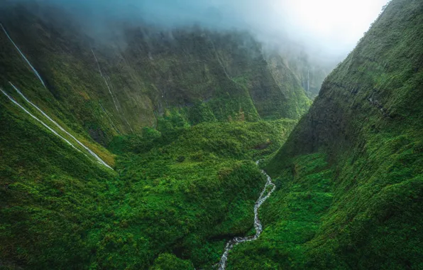 Picture view, greens, mountains, height