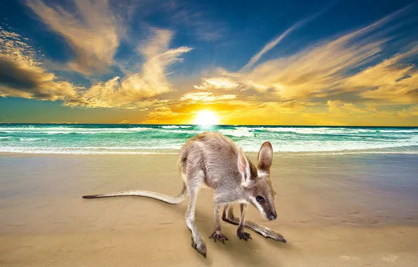 Sea, beach, the sky, look, the sun, clouds, sunset, pose