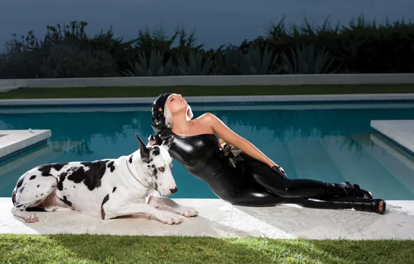 Picture girl, music, actress, singer, pool, fashion, celebrity, dog