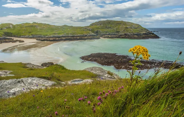 Sea, the sky, grass, clouds, flowers, stones, coast, blur