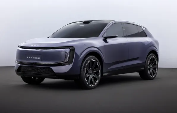 Concept, 2025, AUDI, E SUV