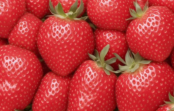 Red, background, Wallpaper, berry, strawberry, berry, wallpaper, red