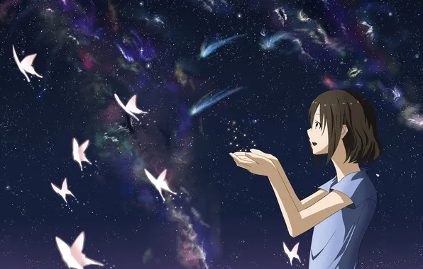The sky, girl, stars, butterfly, Northern lights, anime, art, mac