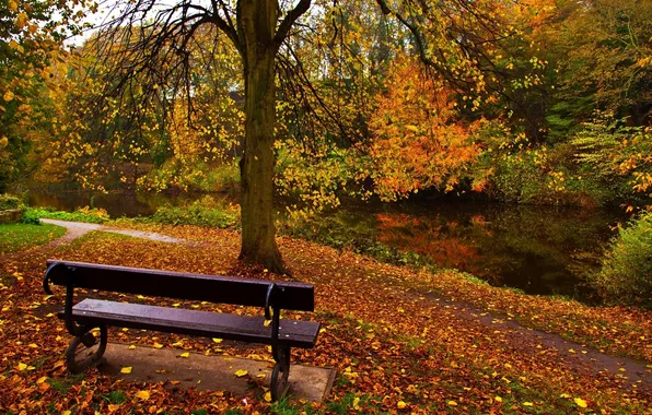 Picture autumn, Park, bench