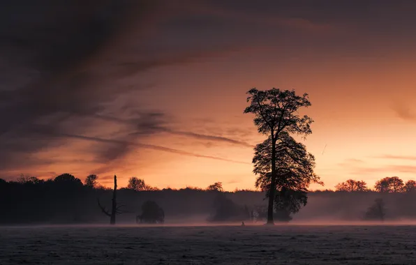 Red, sunrise, orange, colour, Ashridge