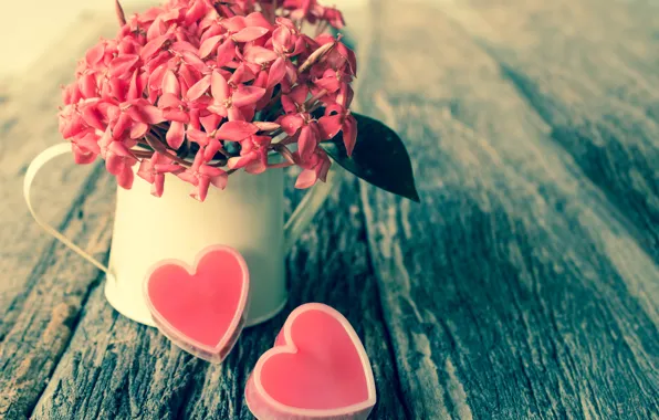 Flowers, heart, bouquet, candy, lake, Valentines day, hearts and flowers