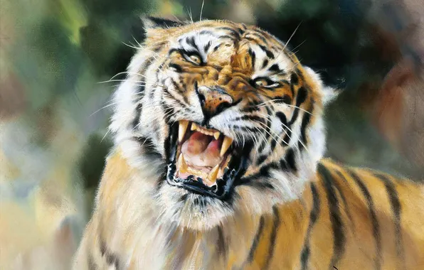 Tiger, Picture, Mouth, Fangs, Face, Donald Grant, Big cat, Grin