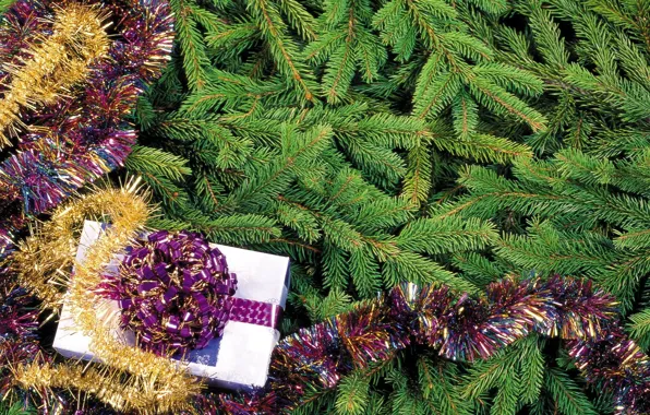 Holiday, gift, tree, new year, tinsel
