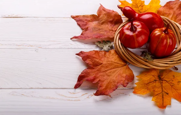 Picture autumn, leaves, background, Board, colorful, pumpkin, maple, wood