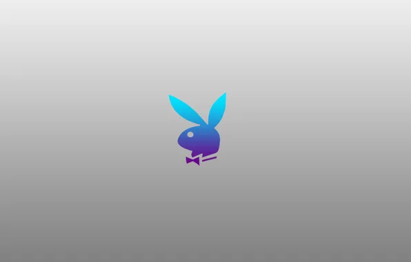 Picture hare, minimalism, PlayBoy