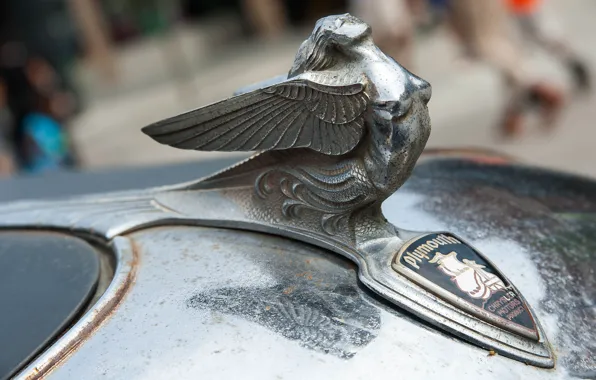 Macro, sign, emblem, Plymouth