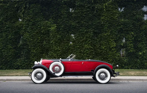 Retro, Machine, Convertible, Car, Speedster, 1929, Boattail, Auburn