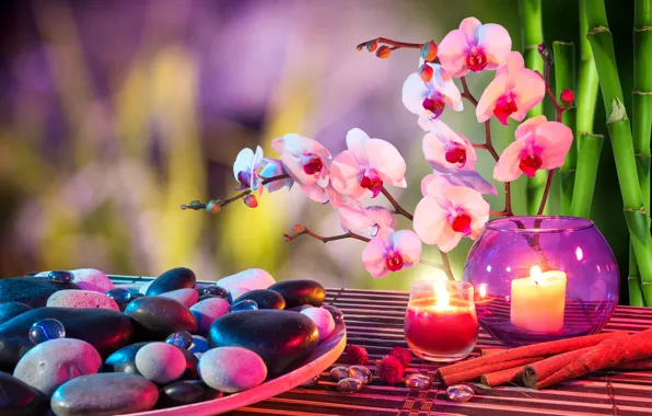 Picture flower, stones, candle, bamboo, cinnamon, Orchid, Spa