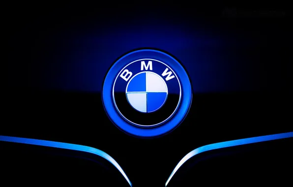 Icon, BMW, the hood, BMW, front, label