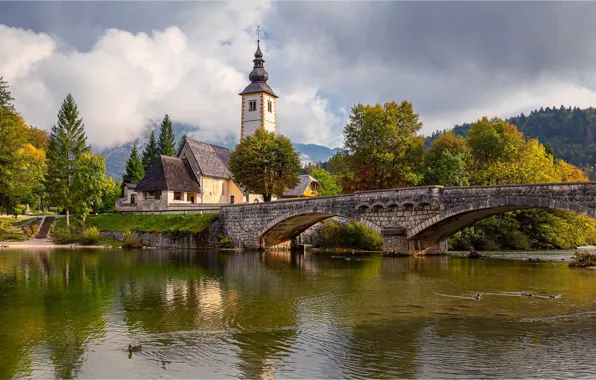 Trees, bridge, lake, duck, Church, Slovenia, Slovenia, Lake Bohinj