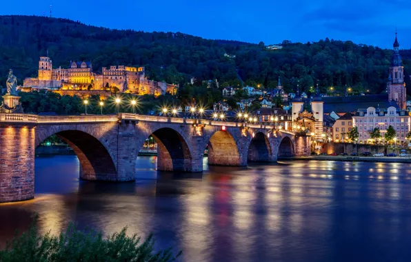 Picture trees, landscape, bridge, lights, river, home, the evening, Germany