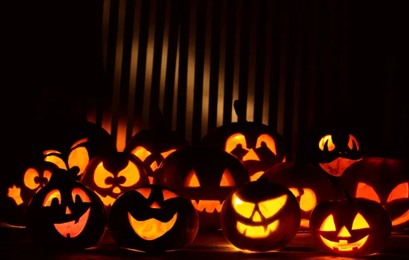 Picture holiday, pumpkin, Halloween, night, halloween gang