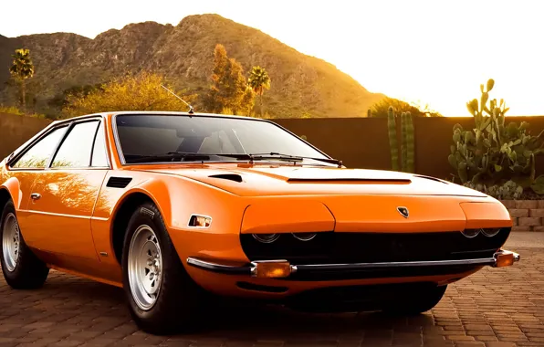 Auto, Mountains, Lamborghini, Palm trees, Cactus, Jarama