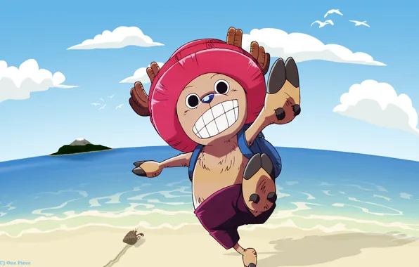 Picture one piece, chopper, one piece, reindeer