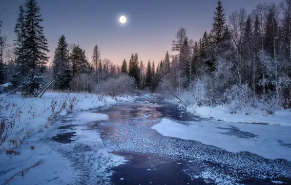 Picture winter, forest, snow, trees, landscape, sunset, river, Wallpaper