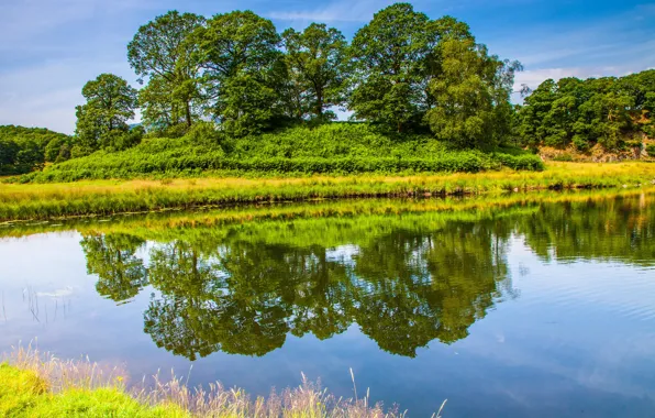 Grass, trees, lake, pond, reflection, England