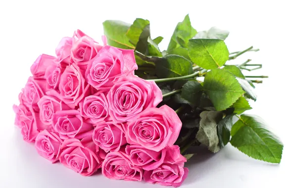 Picture pink, flowers, beautiful, bouquet, roses