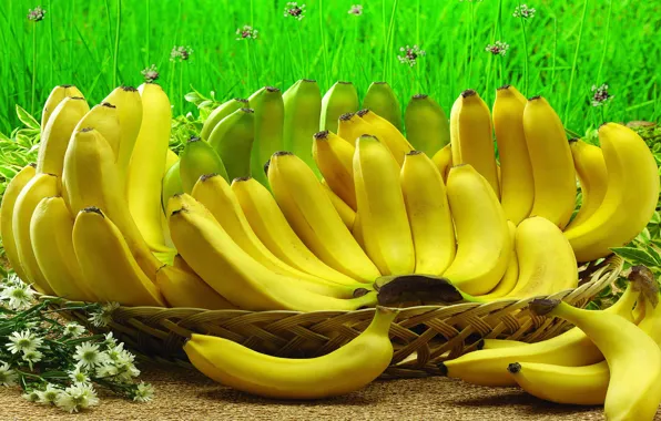 Picture berries, fruit, bananas