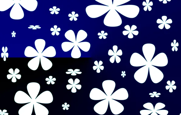Picture flowers, texture, petals, contrast